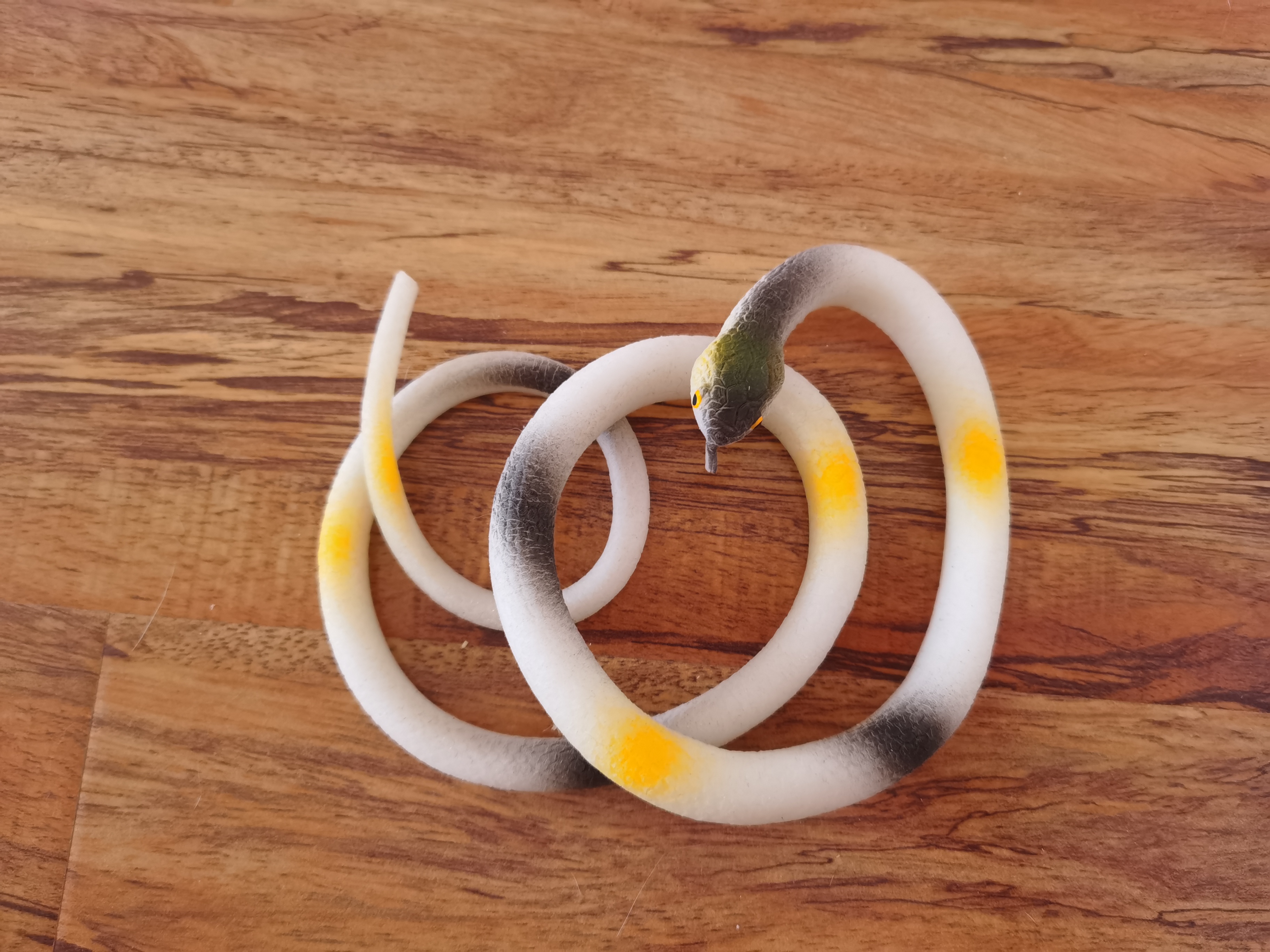 养猫必买物品 (养猫用品清单推荐)