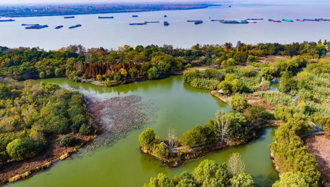 免费半价怎么点,免费半价的噱头