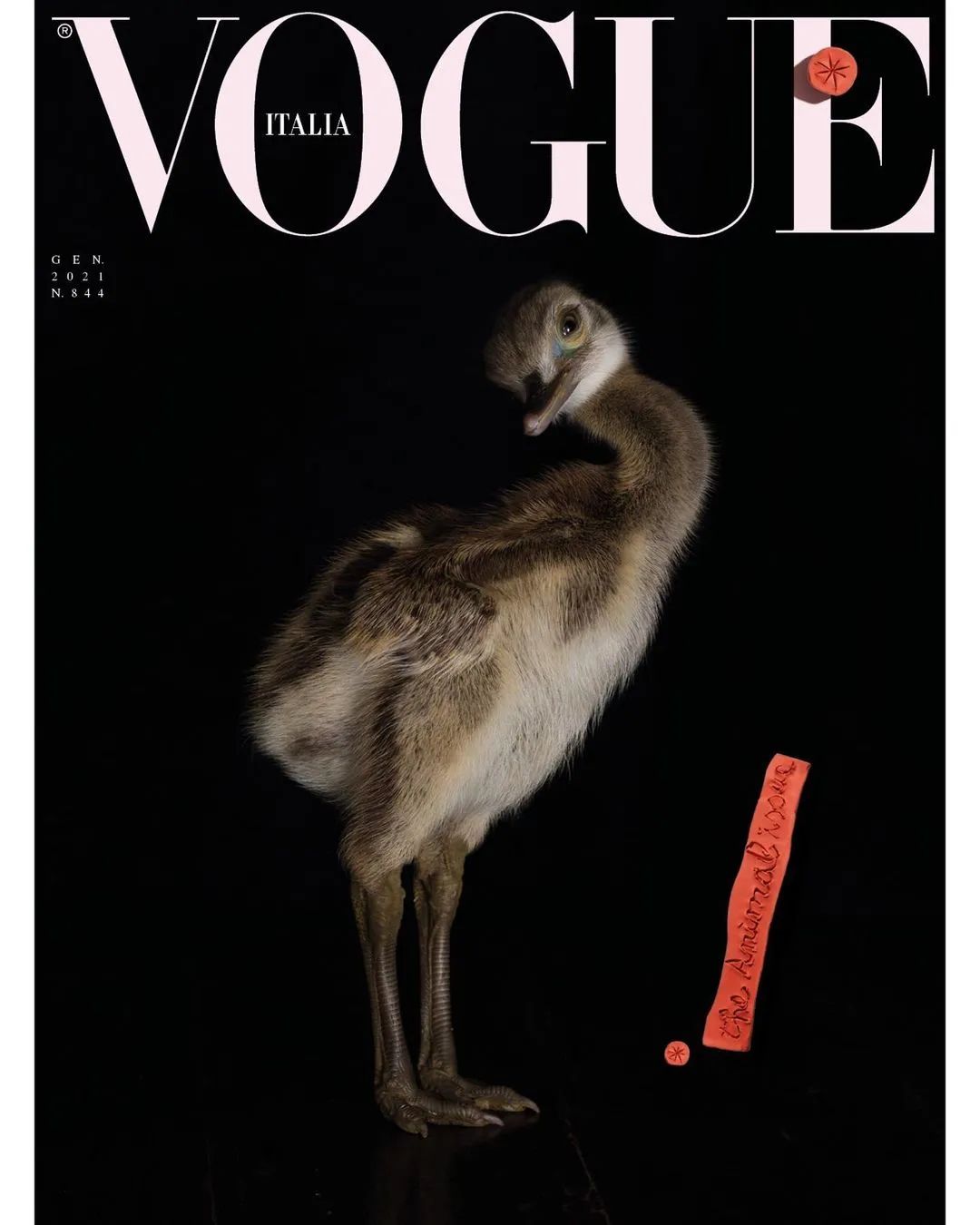 意大利vogue封面合集,vogue意大利版