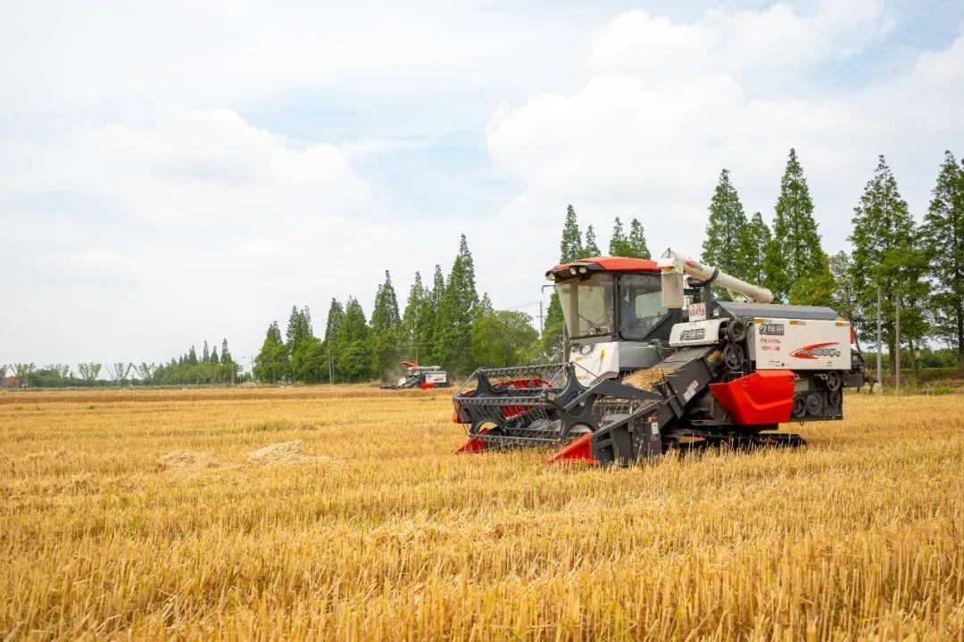 苏州最差的县级市,昆山为什么成为百强县之首