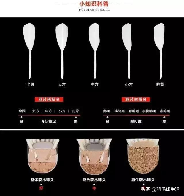 羽毛球初学者实战实用战术和技巧,羽毛球拍选购要注意哪些问题