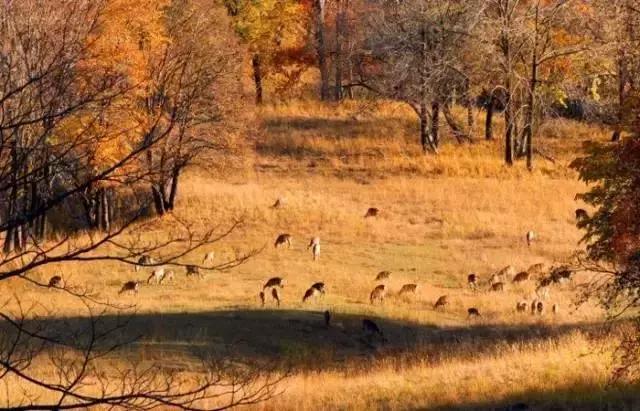 哈尔滨周边有10多个绝美胜地,哈尔滨自驾三亚边走边玩最佳路线