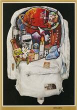 thenorthface北面潮牌冬款,北面旗下户外品牌