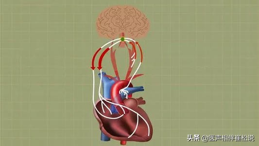 为什么会晕血很严重,晕血导致的晕厥怎么处置