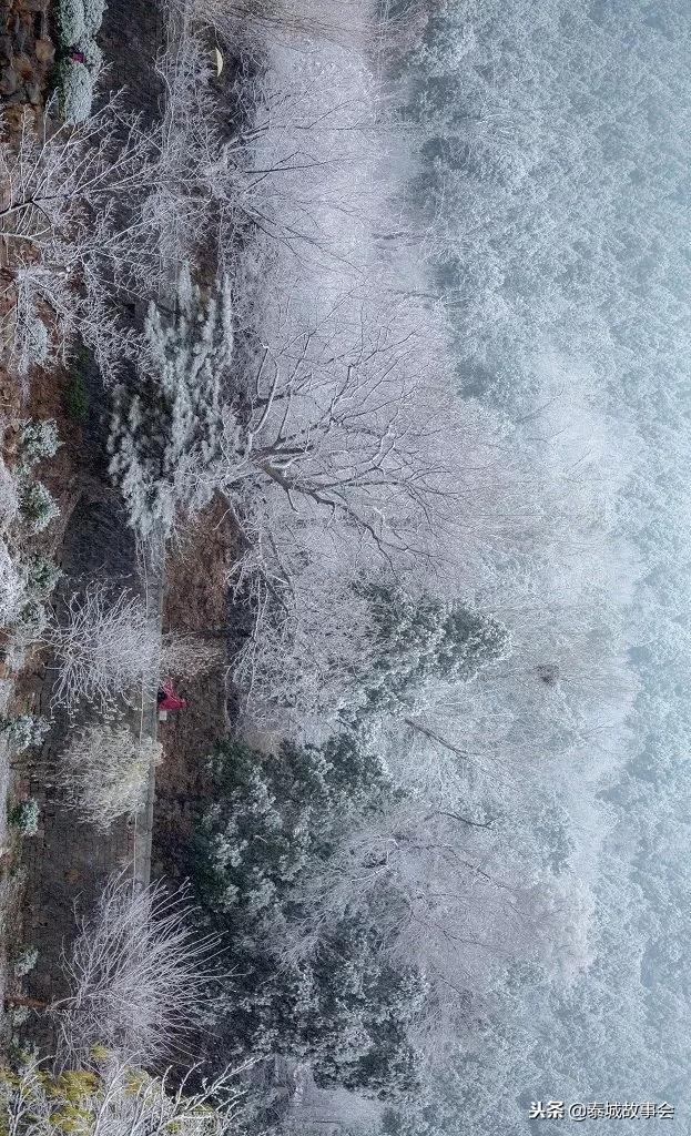 泰山美图100张,泰山云海美图