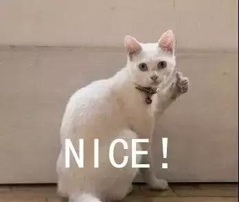 hpv疫苗二价四价和九价的费用深圳,深圳九价hpv疫苗将摇号多少钱