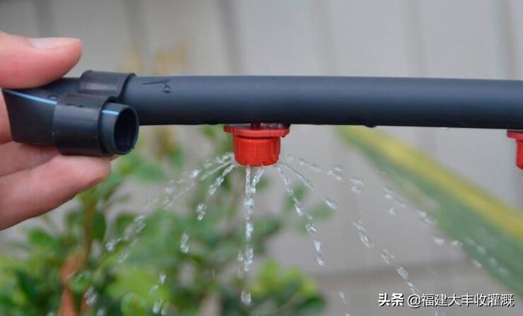 微喷注意事项,微喷带怎么使用