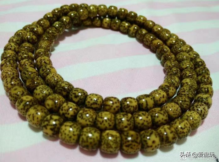 一条星月菩提多少钱,全网最高性价比的星月菩提