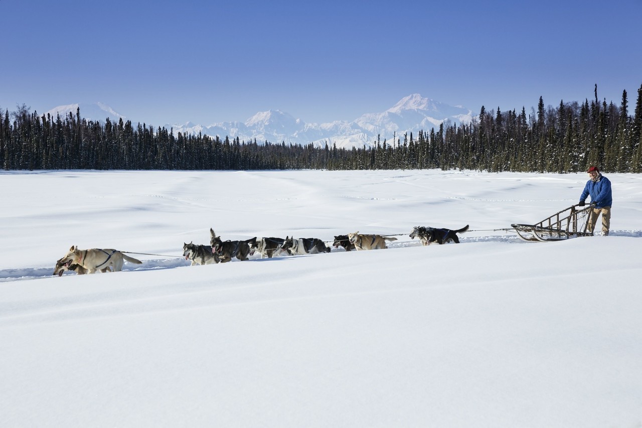 外研版八下Module2单词及知识梳理