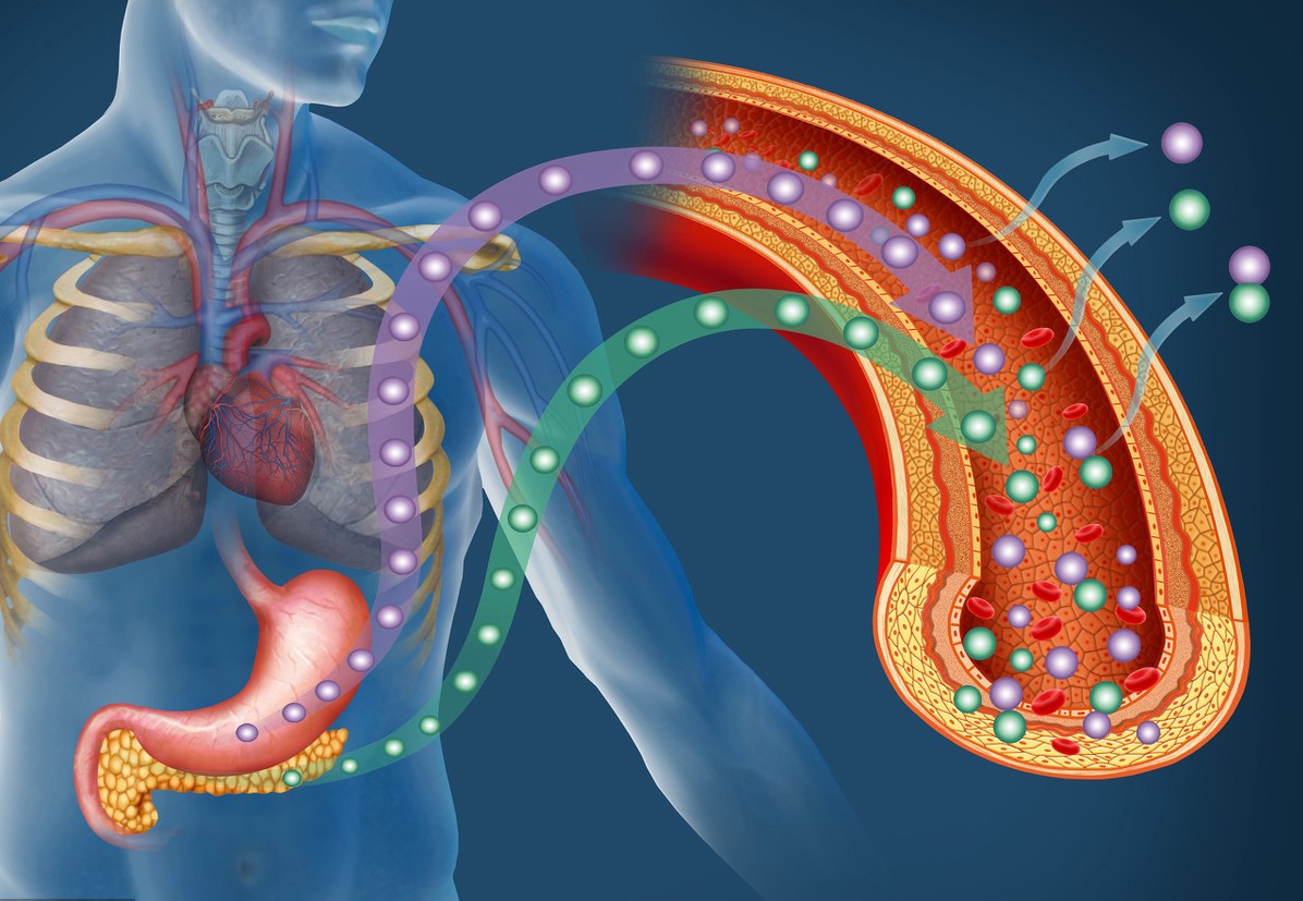 为什么很多人,在发生糖尿病之前,会变得“爱吃糖”