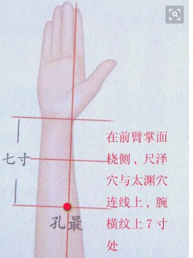 史上最全的人体穴位与功效图谱,74个常用穴位