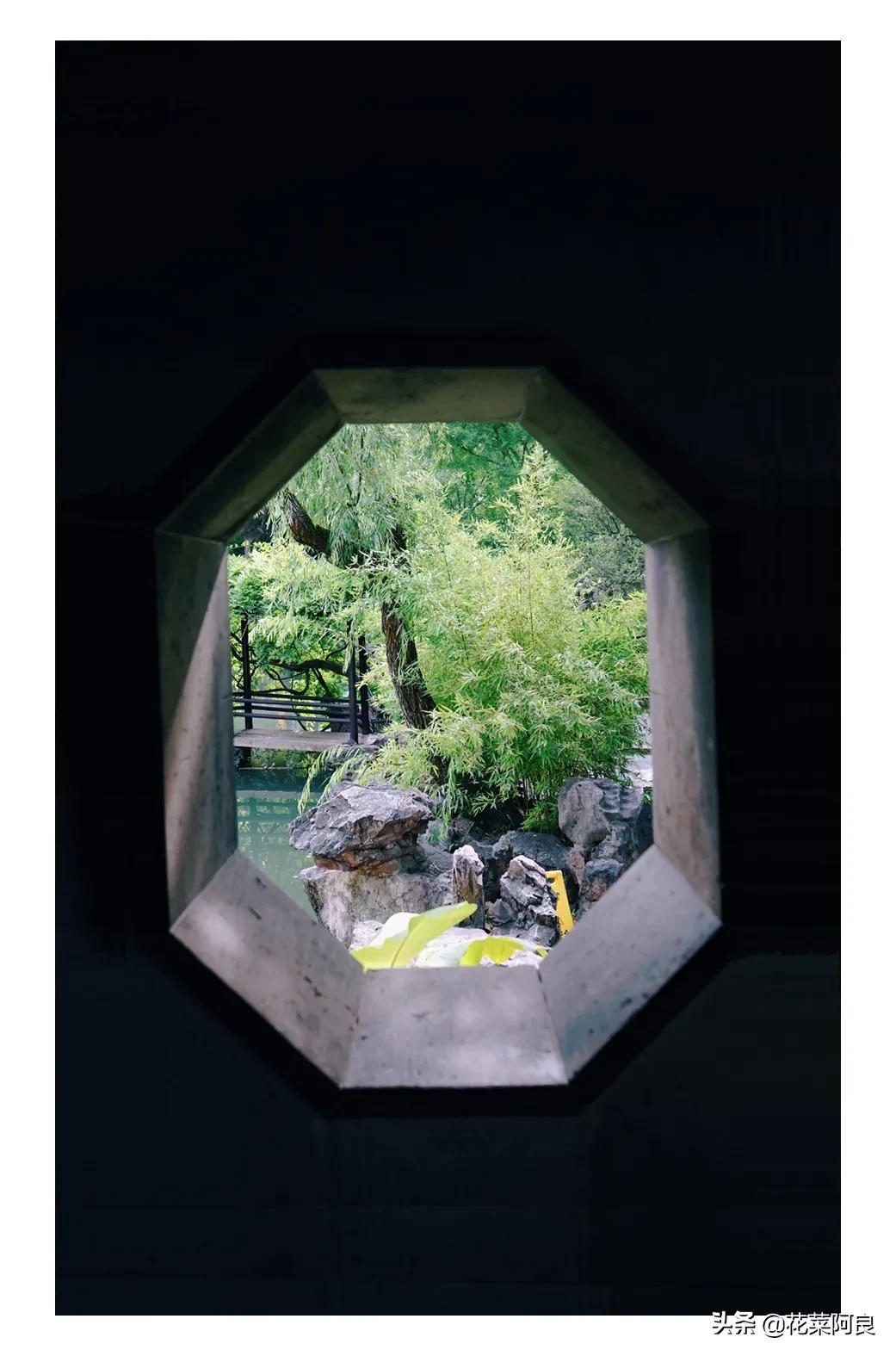 留园拙政园哪个景色好,留园和拙政园