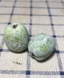 一个90后全职妈妈,一个90后的全职妈妈