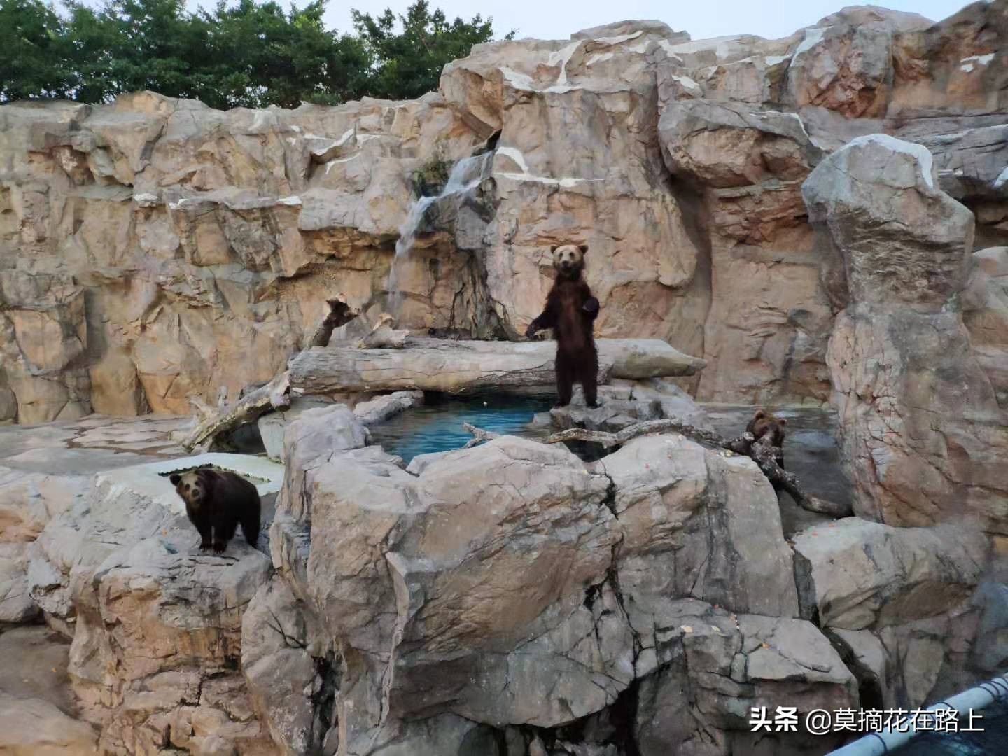 推荐去珠海长隆旅游的原因,一场说走就走的旅行珠海长隆