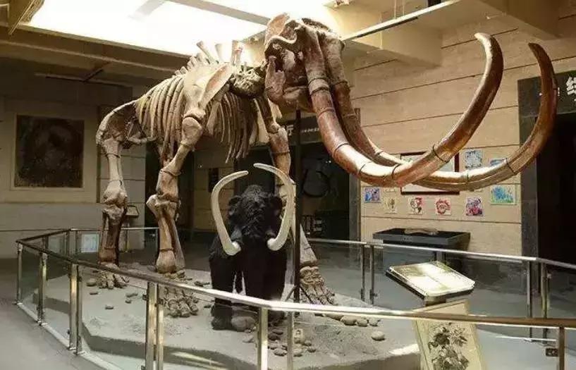 武汉发布暴雪橙色预警气温,武汉特大暴雪最新消息