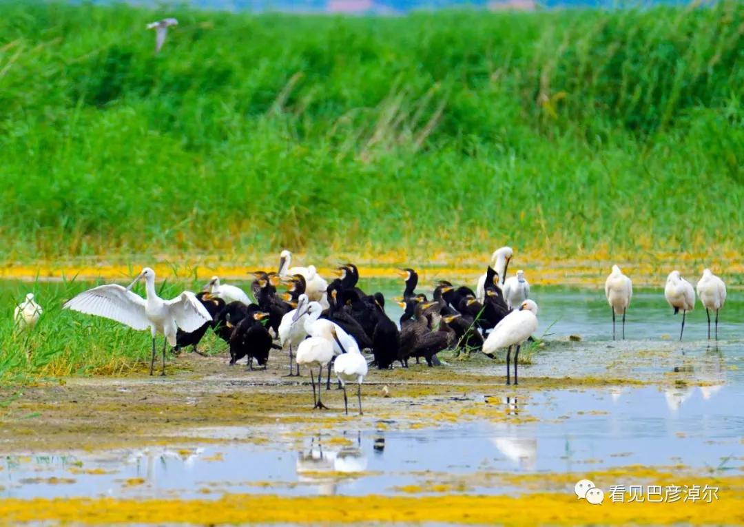 七分钟带你领略大美乌拉特前旗 (带你去看乌拉特前旗)