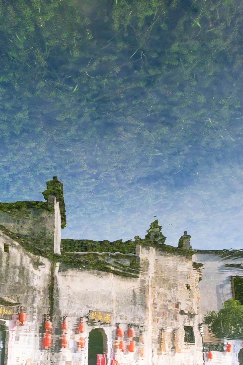 安徽春天美丽的视频,安徽美丽的春天