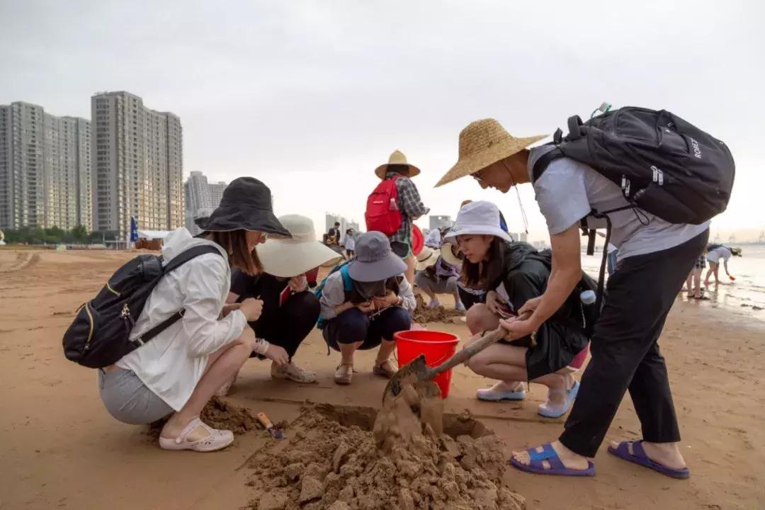 中国地质大学地质系,中国地质大学地质课程