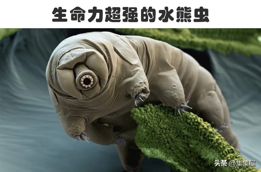 证明外星人存在的九大惊人证据,外星人存在的最直接证据是什么