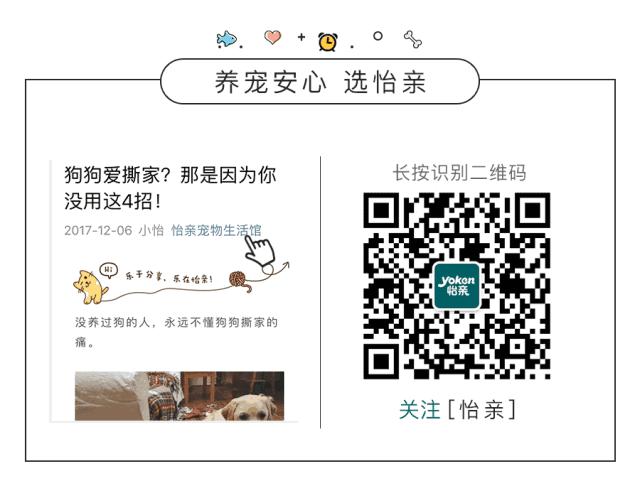 猫毛吸进肺里案例,猫的毛会吸进肺里吗