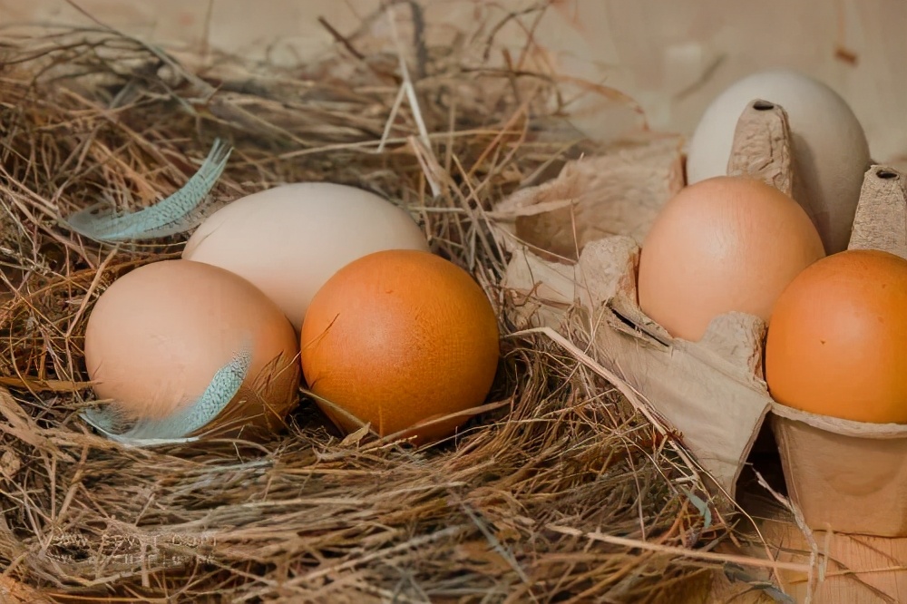 宝宝多大就可以直接吃蛋黄,多大的宝宝可以吃蛋黄吗