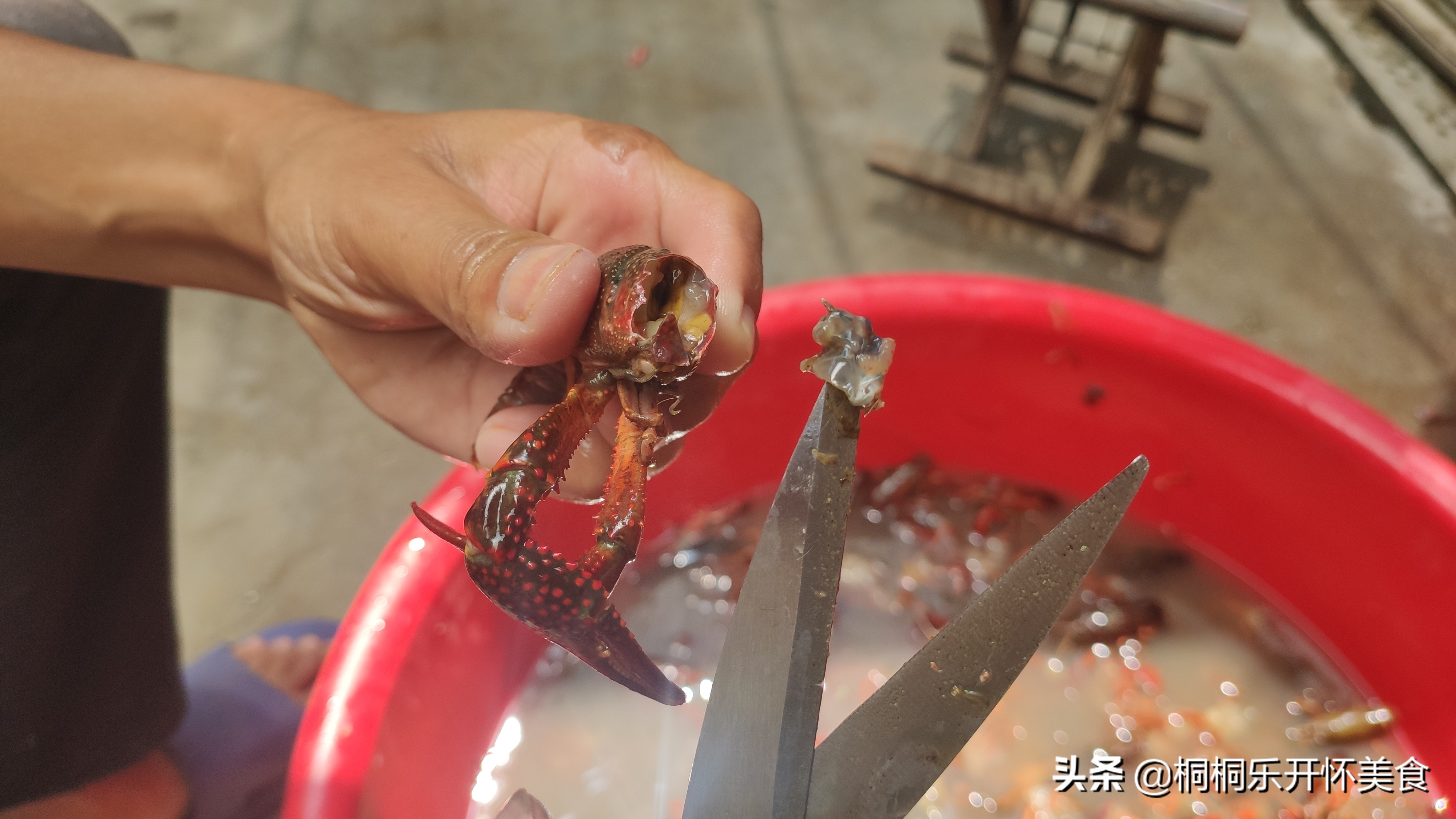 怎么样洗龙虾才洗得干净,怎样洗龙虾比较洗得干净