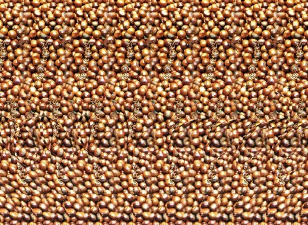 如何简单的学好3d图画,3d画是如何制作出来的