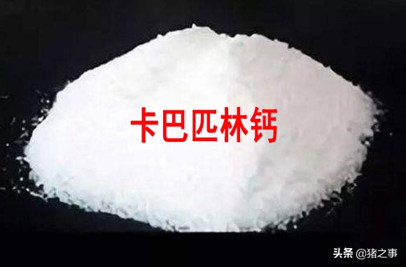 养猪退烧的方法,养猪发烧用什么药能退烧