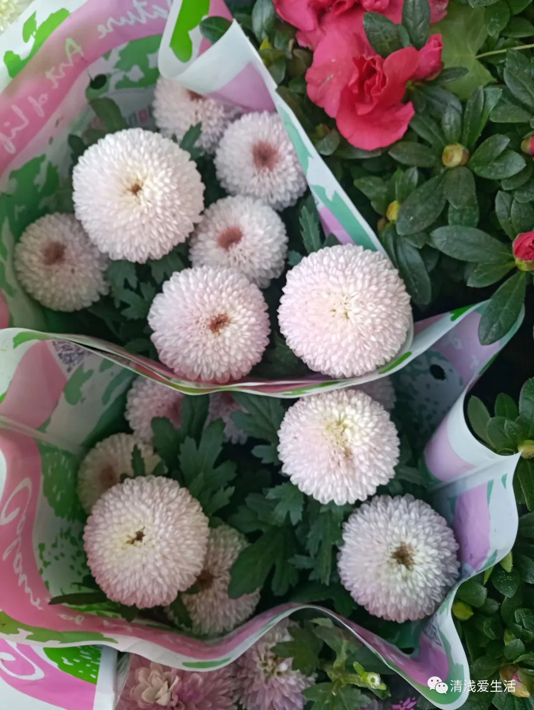 年味十足的花店,花店年味十足