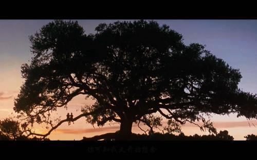 《假如爱有天意》一部爱情片让人看不腻的三个特点