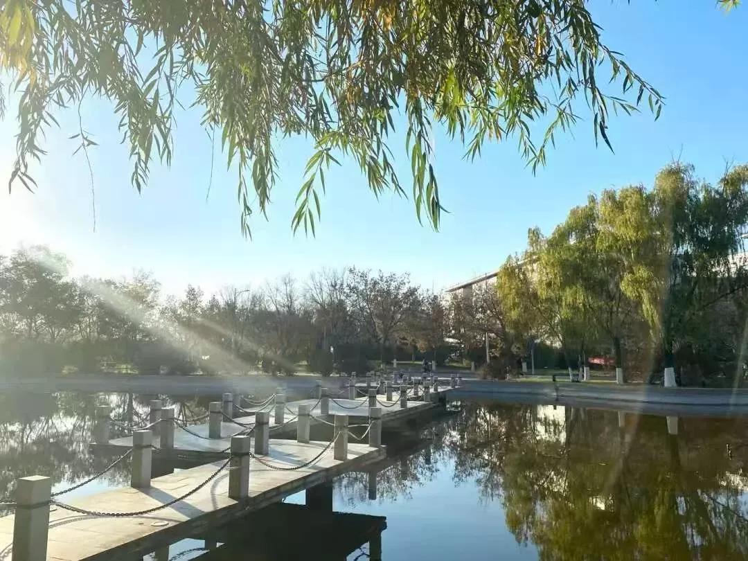 沈阳化工大学辽宁省排名,沈阳化工大学2020招生计划辽宁省