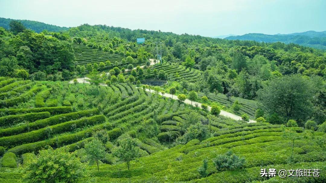 县域副中心有哪些,白水镇如何建设县域副中心