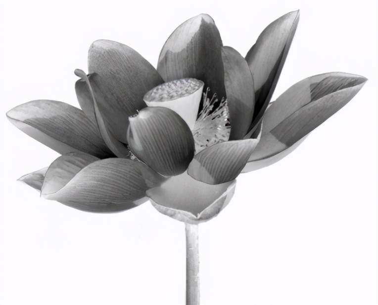 八年级生物中考新突破2024年,生物八年级上册达标测试卷