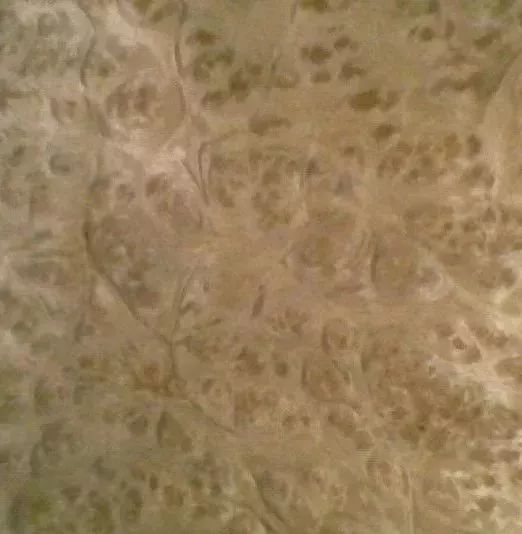 家具知识知多少,知识科普家具