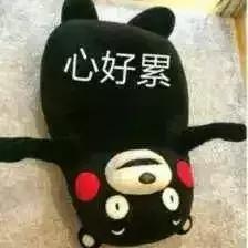 驾驶证上面的信息哪些是最重要的,驾驶证上有哪些重要信息