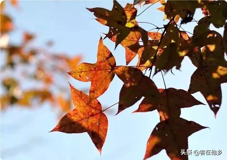 本港台播放过的动画,本港台曾经推出的纪录片