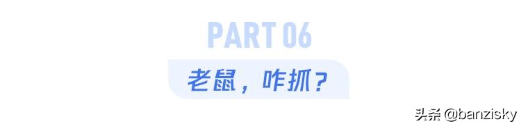 被子长出了木耳，老鼠满地跑，牙刷长了毛，这宿舍该咋收拾啊