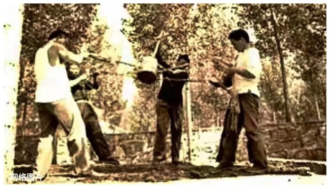 老家的老屋回忆,回忆农村老屋瓦房小院