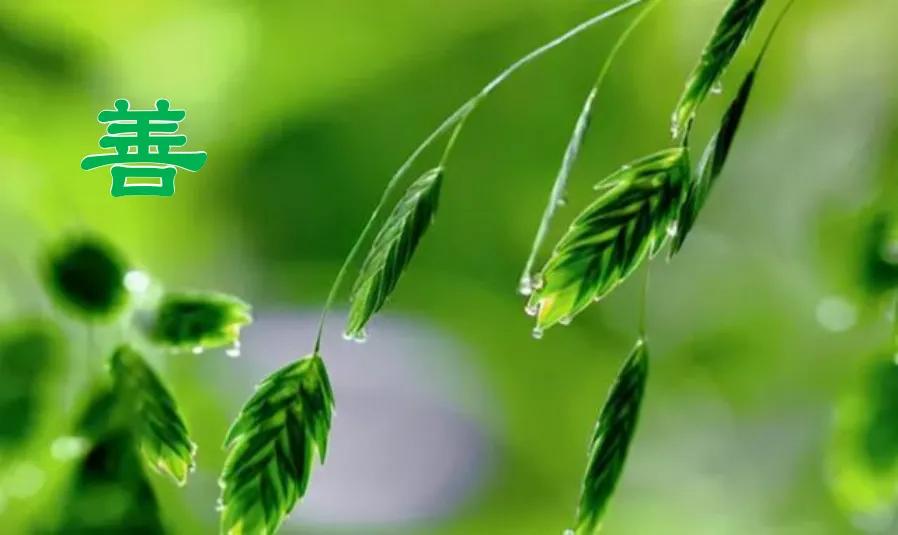 有目的的行善是善还是恶,行善需要智慧和力量