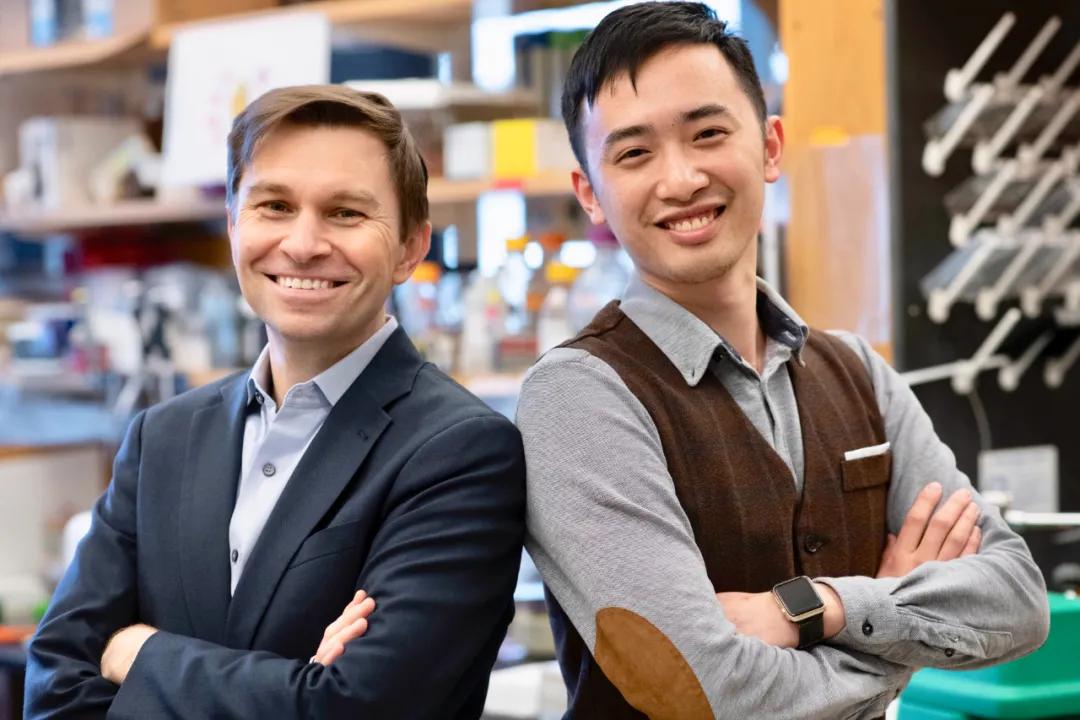 nature封面的启发,nature封面完整版