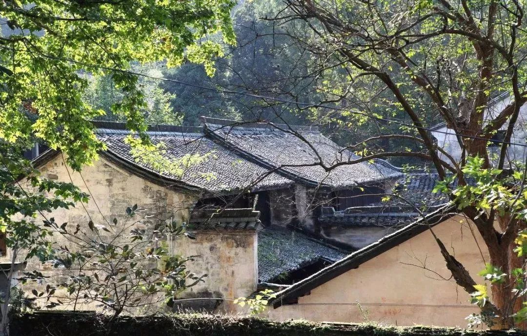 诸暨最美丽乡村,诸暨最美的田园景点