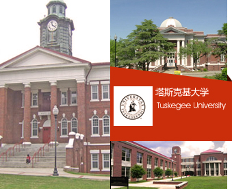 塔斯克基飞行员国语在线观看,塔斯克基飞行员电影在线观看