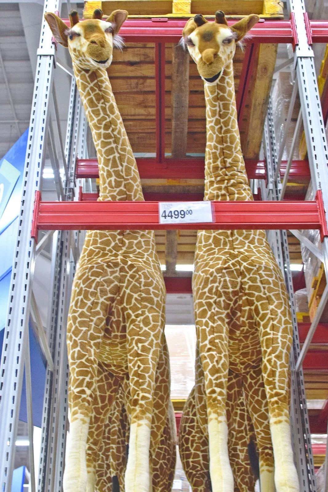 山姆新店活动码,山姆会员店宝藏单品