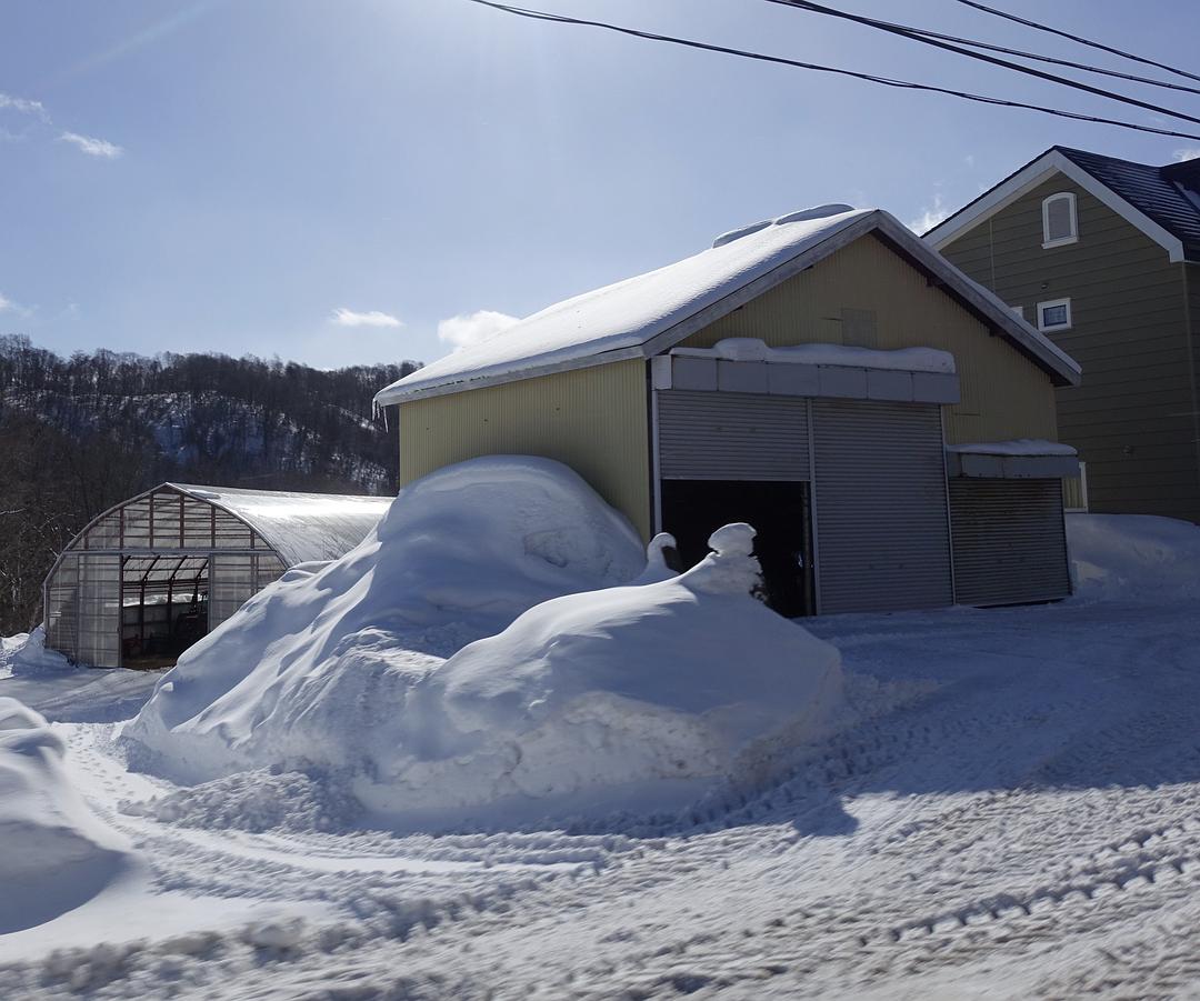 冬日里的童话,冬天里的童话小故事