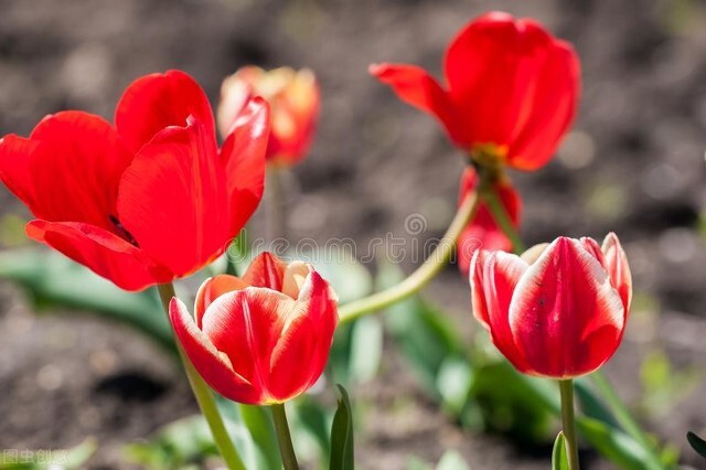 第二次复发治愈的可能性,二次复发吃5年药能治愈吗