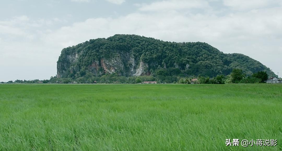 1983经典恐怖片降头,最新降头恐怖片