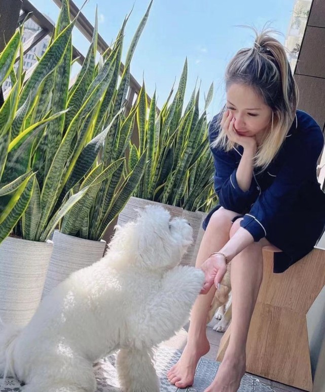 萧亚轩被狗咬伤脸部照片,萧亚轩被狗咬伤脸部怎么修复的