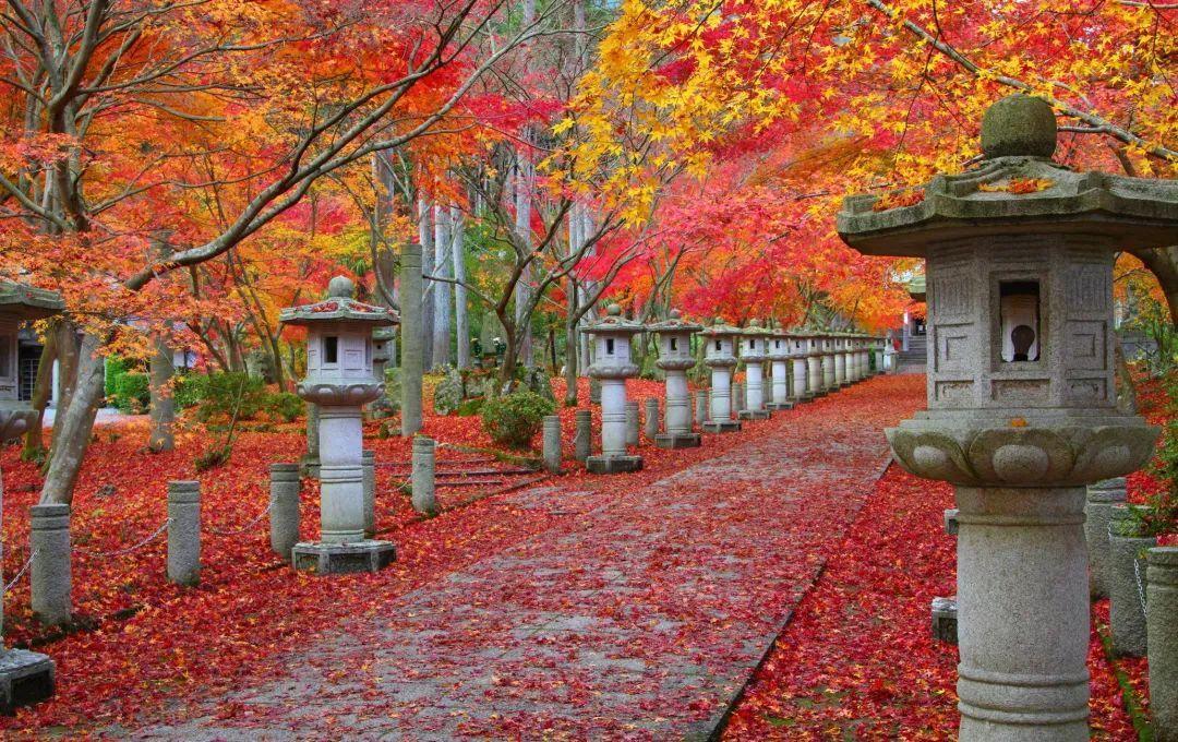 <html>
<head><title>502BadGateway</title></head>
<body>
<center><h1>502BadGateway</h1></center>
<hr><center>nginx</center>
</body>
</html>
<!--apaddingtodisableMSIEandChromefriendlyerrorpage-->
<!--apaddingtodisableMSIEandChromefriendlyerrorpage-->
<!--apaddingtodisableMSIEandChromefriendlyerrorpage-->
<!--apaddingtodisableMSIEandChromefriendlyerrorpage-->
<!--apaddingtodisableMSIEandChromefriendlyerrorpage-->
<!--apaddingtodisableMSIEandChromefriendlyerrorpage-->
