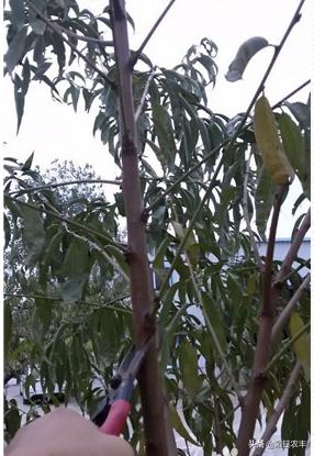 台风利奇马被水淹,利奇马台风水淹几米