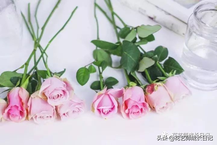 开花店花材损耗,花店新到花材如何打理